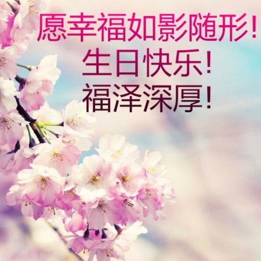 帕尔默迎24岁生日，切尔西官方发布海报送上祝福