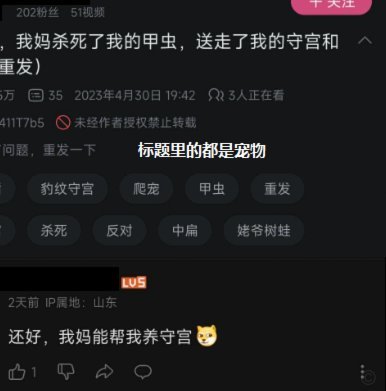 我先说个绝望的，区宠水平不够，20年后还只能在电子厂
