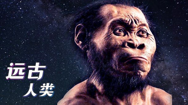 哈兰德：怪物还是明日之星？